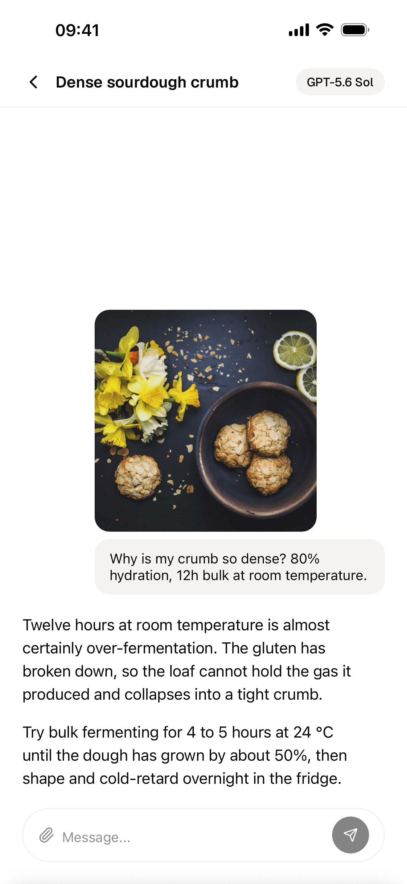 A chat message carrying a photo, with the assistant's answer below